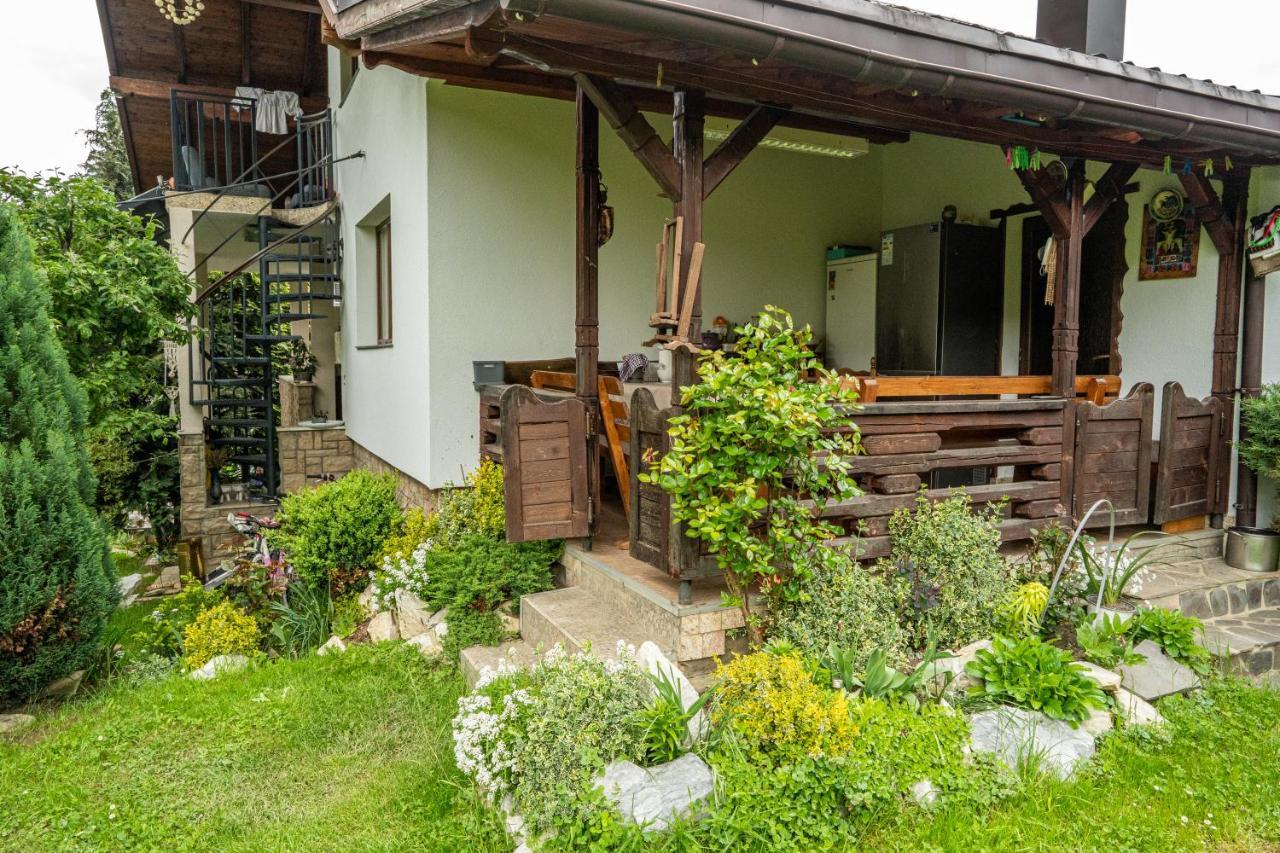 Cabana Rustic Borsa  Exterior photo